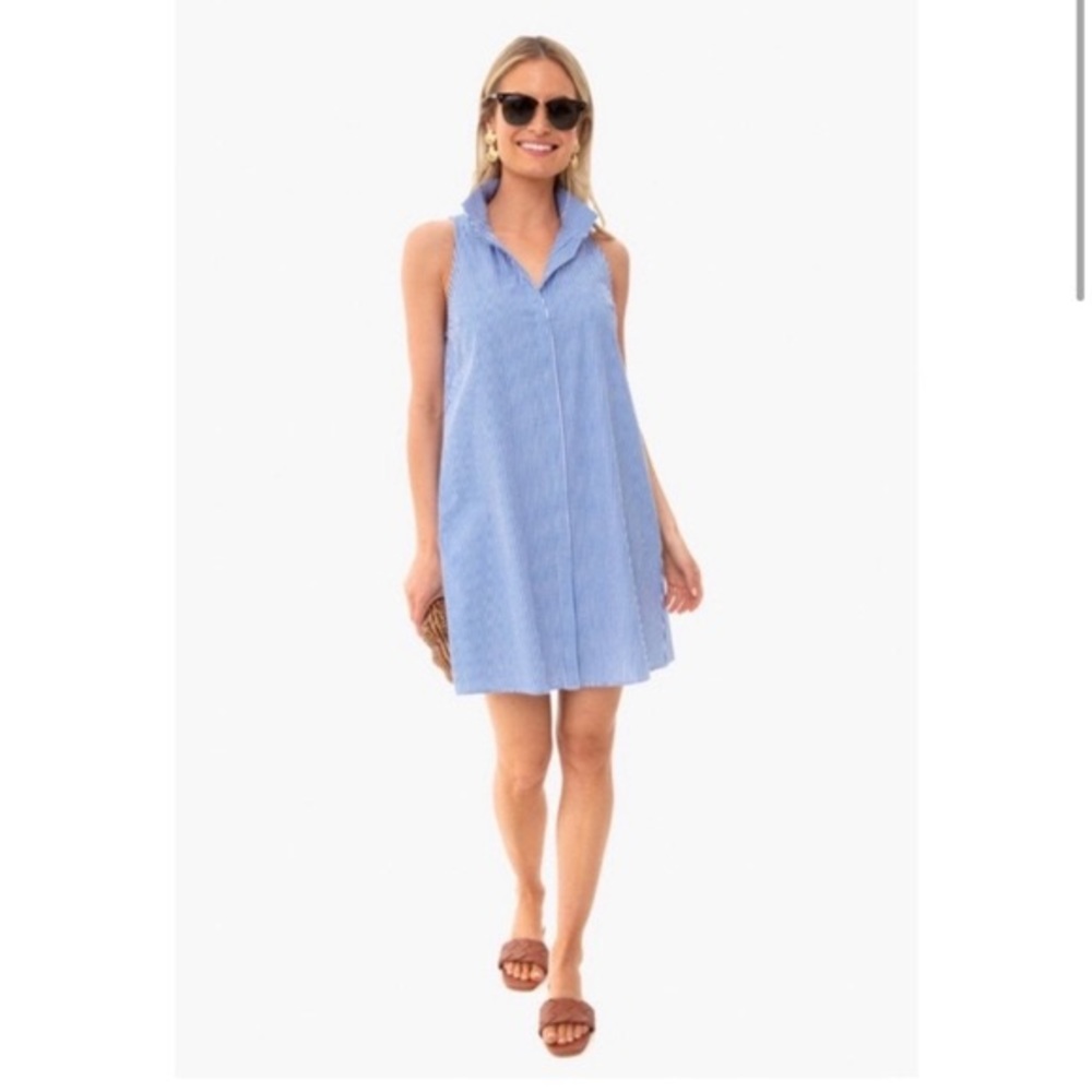 Tuckernuck blue and white Charlie shirt dress small